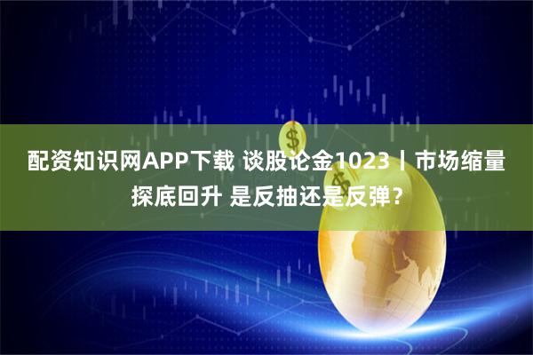 配资知识网APP下载 谈股论金1023丨市场缩量探底回升 是反抽还是反弹？