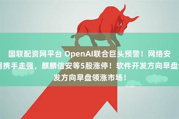 国联配资网平台 OpenAI联合巨头预警！网络安全+AI应用携手走强，麒麟信安等5股涨停！软件开发方向早盘领涨市场！