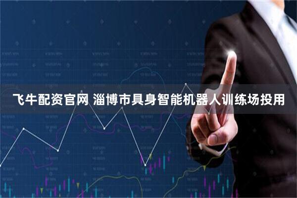 飞牛配资官网 淄博市具身智能机器人训练场投用